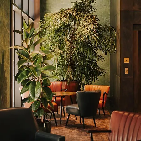 Готель The Cyrus 5*